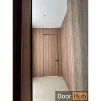 Natural Veneer Interior Door with Royal Black Anodized Profile – Developer Supply UAE